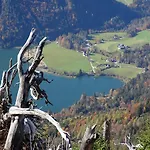 Bayrhammer Faistenau