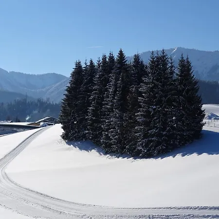 Bayrhammer 3* Faistenau