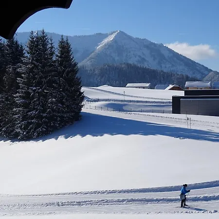 Bayrhammer Faistenau