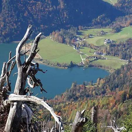 Bayrhammer Faistenau