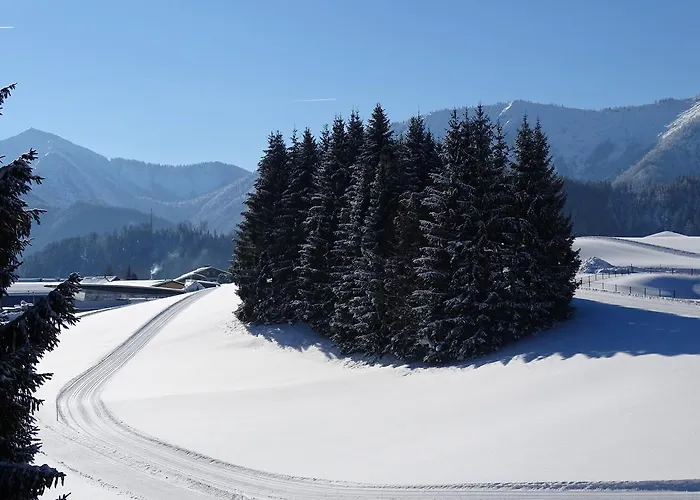 Bayrhammer 3* Faistenau