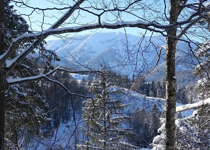 Pensjonat Bayrhammer Faistenau